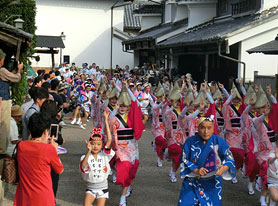 風情のある町並みでの阿波踊りをお楽しみください